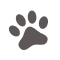 Cat Print
